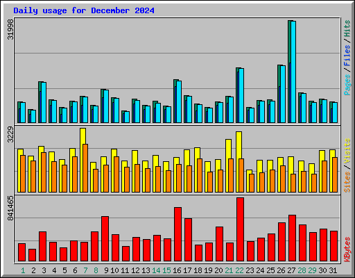 Daily usage for December 2024