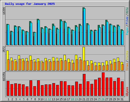 Daily usage for January 2025