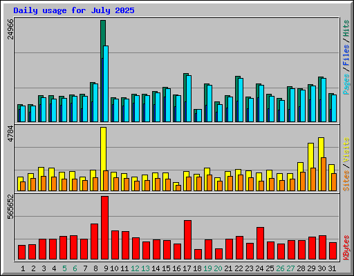 Daily usage for July 2025
