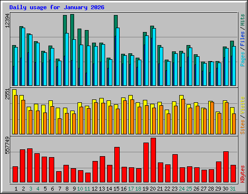 Daily usage for January 2026
