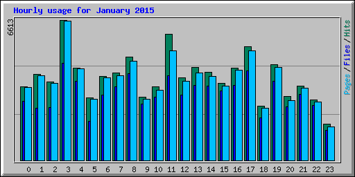 Hourly usage for January 2015