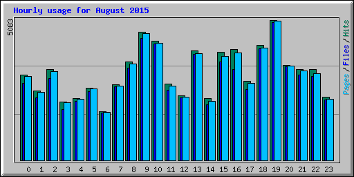 Hourly usage for August 2015
