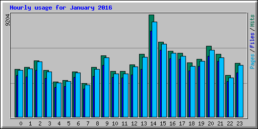 Hourly usage for January 2016