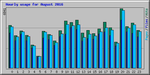 Hourly usage for August 2016