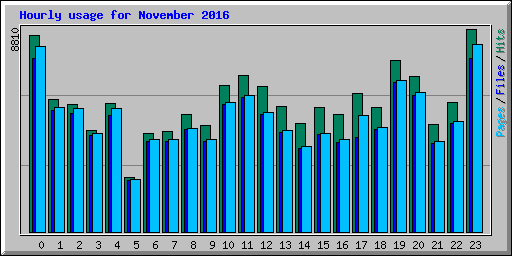 Hourly usage for November 2016