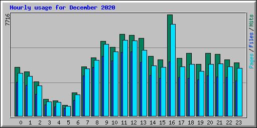 Hourly usage for December 2020