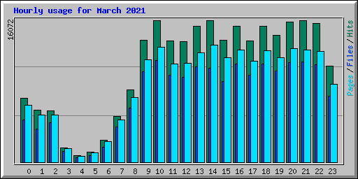 Hourly usage for March 2021