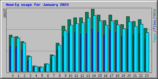 Hourly usage for January 2023