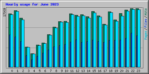 Hourly usage for June 2023