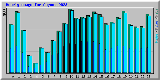 Hourly usage for August 2023
