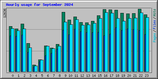 Hourly usage for September 2024
