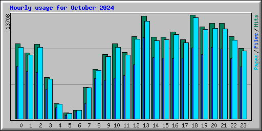 Hourly usage for October 2024