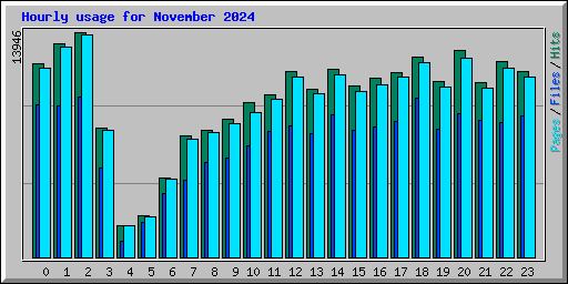 Hourly usage for November 2024