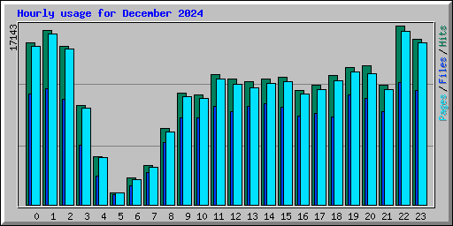 Hourly usage for December 2024