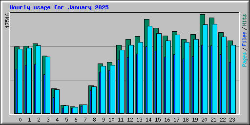 Hourly usage for January 2025