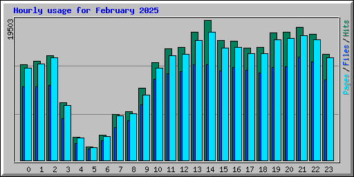 Hourly usage for February 2025