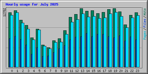 Hourly usage for July 2025