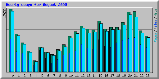 Hourly usage for August 2025
