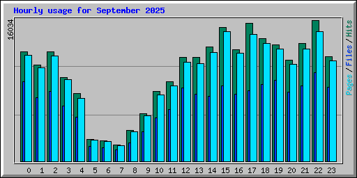 Hourly usage for September 2025