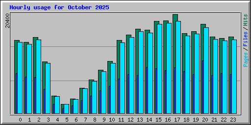 Hourly usage for October 2025