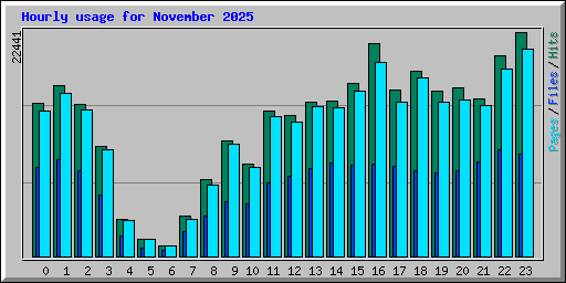 Hourly usage for November 2025