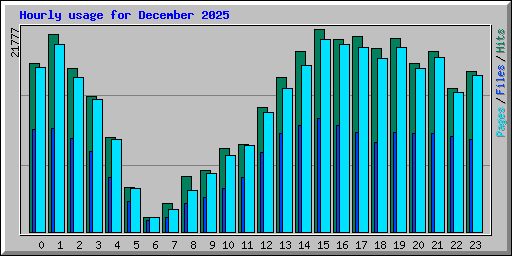 Hourly usage for December 2025