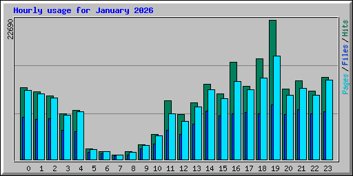 Hourly usage for January 2026