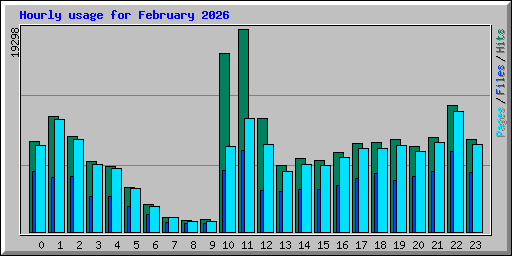 Hourly usage for February 2026