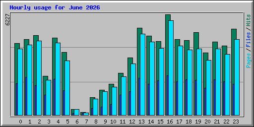 Hourly usage for June 2026