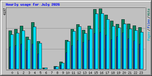 Hourly usage for July 2026